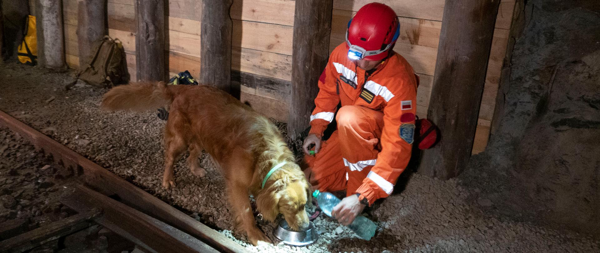Szkolenie_psów_Kopalnia_Soli_Wieliczka_