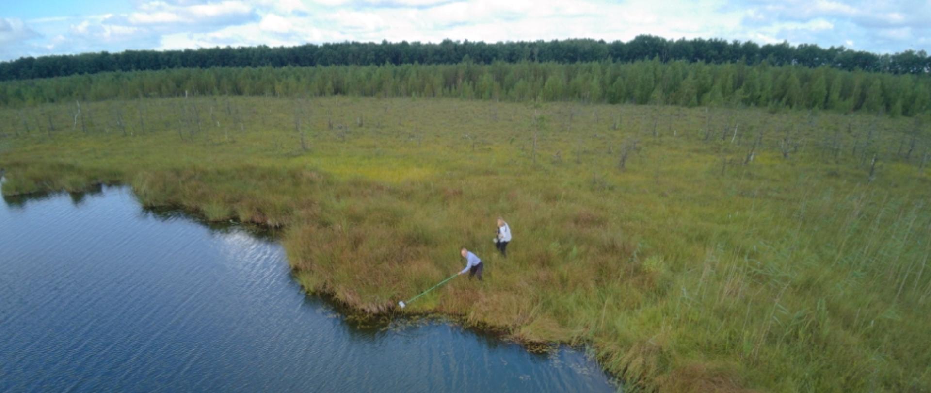 Ochrona czynna aldrowandy pęcherzykowatej na Lubelszczyźnie