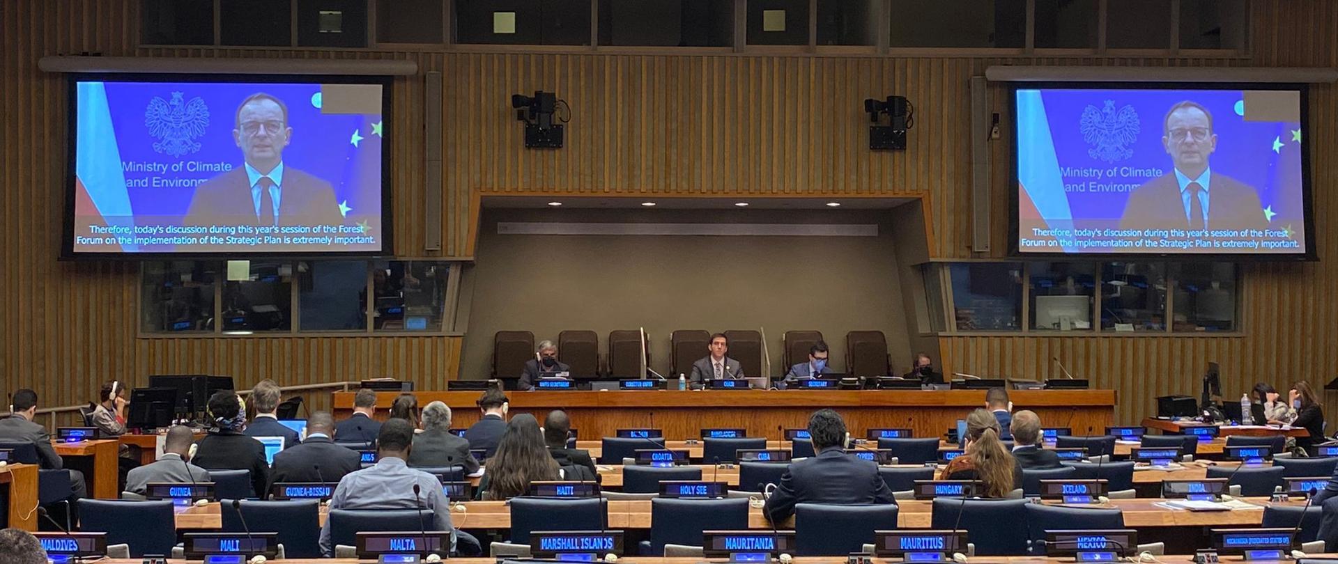 Wiceminister Edward Siarka podczas 17. sesji Forum ONZ ws. Lasów
