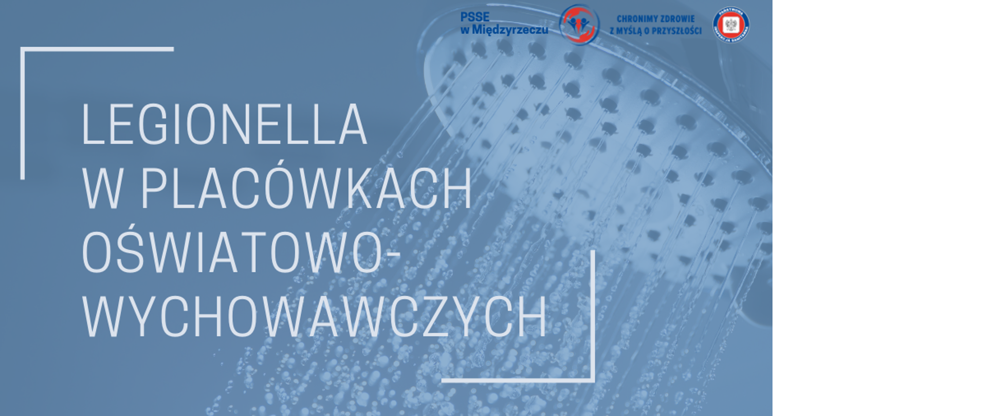 Wszystko_co_musisz_wiedzieć_o_legionelli_i_legionelozie