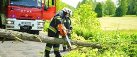 Strażak przecina piłą łańcuchową powalone drzewo blokujące drogę, obok stoi samochód pożarniczy wykorzystywany podczas działań ratowniczych.