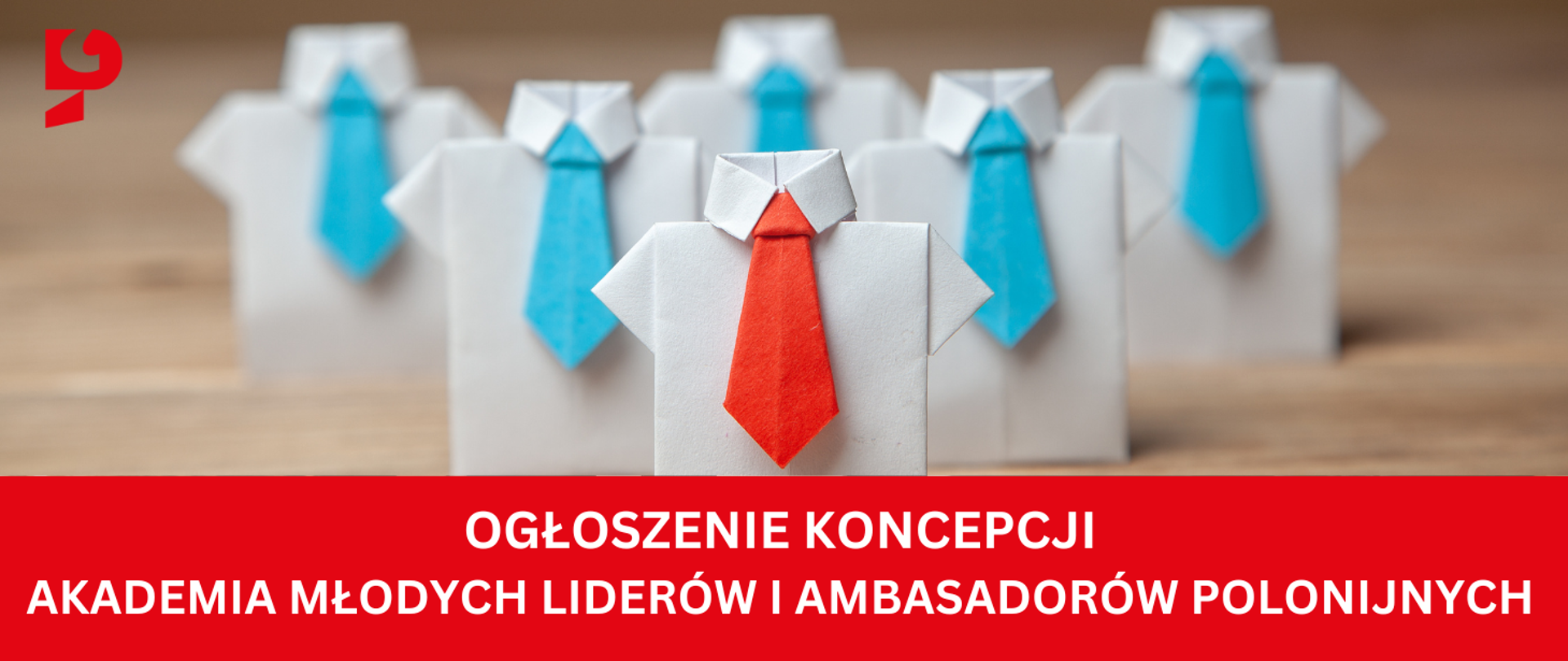 Akademia młodych liderów i ambasadorów polonijnych