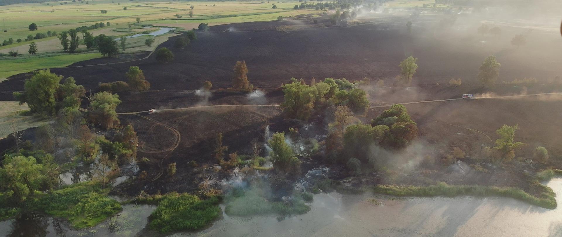 Na fotografii widoczny jest pożar nieużytków z wysokości. Zdjęcie wykonane z drona. Widoczna jest rzeka oraz drzewa i spalona trawa.