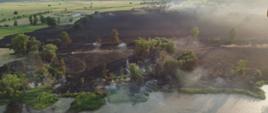 Na fotografii widoczny jest pożar nieużytków z wysokości. Zdjęcie wykonane z drona. Widoczna jest rzeka oraz drzewa i spalona trawa.