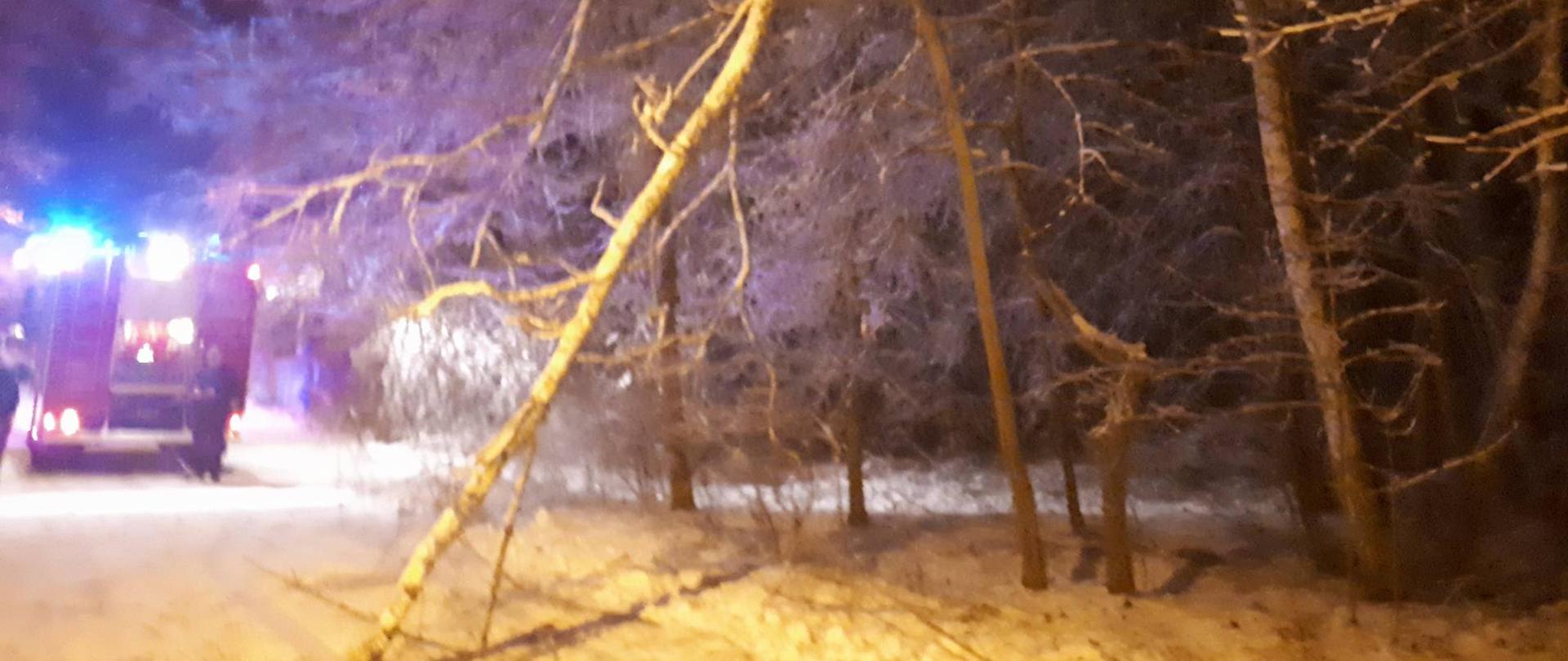 Zdjęcie przedstawia złamane drzewo, w tle na zaśnieżonej drodze samochód straży