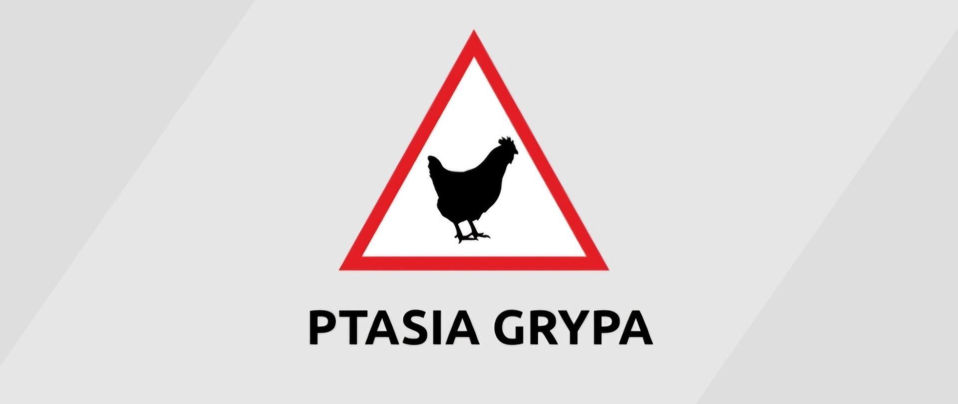 Uwaga ptasia grypa!