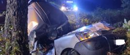Śmiertelny wypadek samochodu osobowego marki CITROEN Berlingo w miejscowości Dąbrówka Leśna.