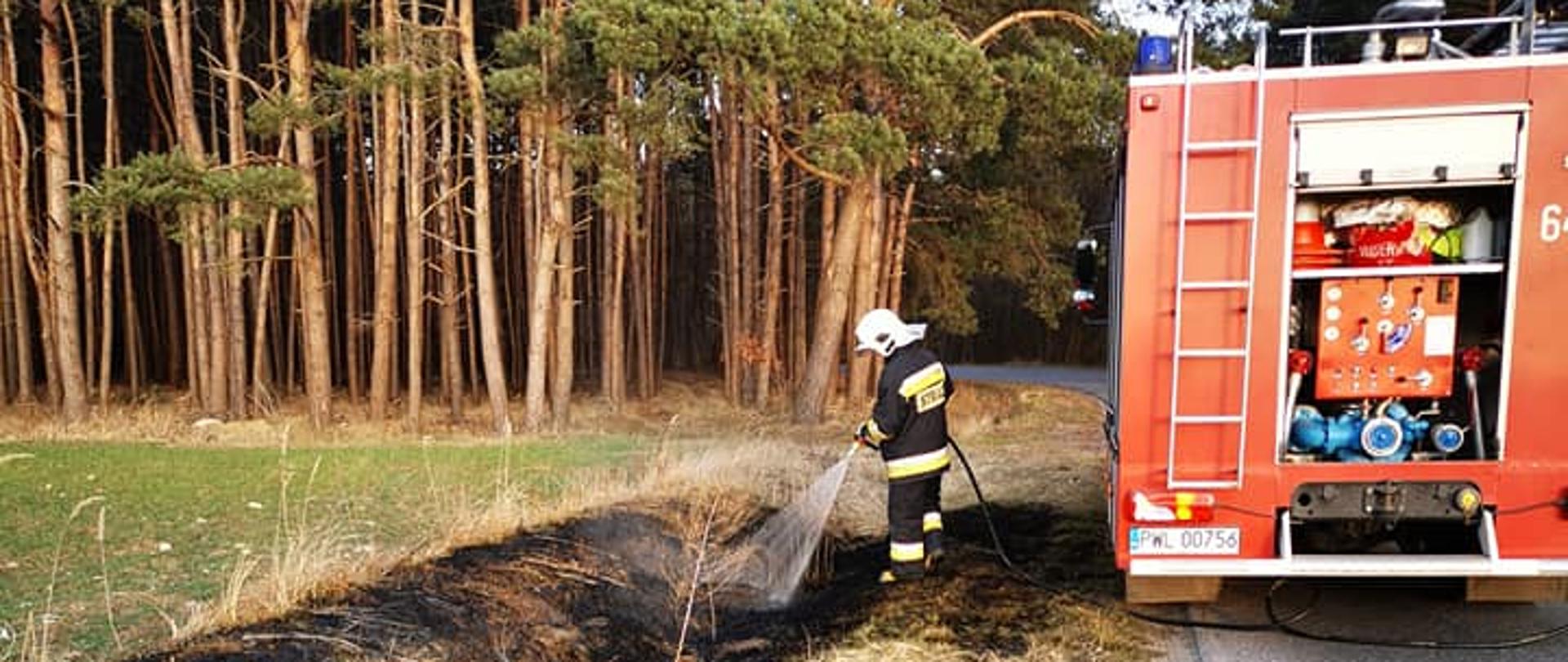 Wóz strażacki, wypalony rów obok drogi, strażak zlewa spaloną trawę.