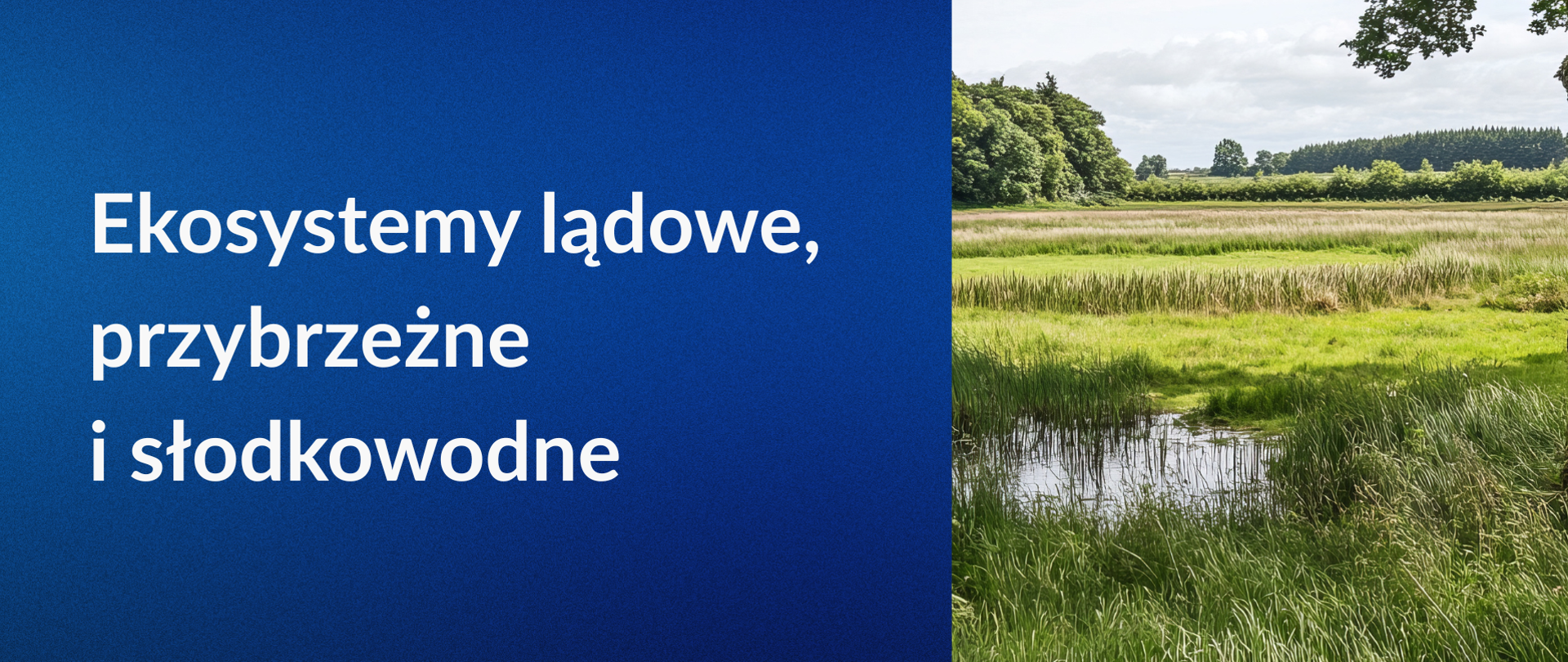 ekosystemy lądowe, przybrzeżne i słodkowodne