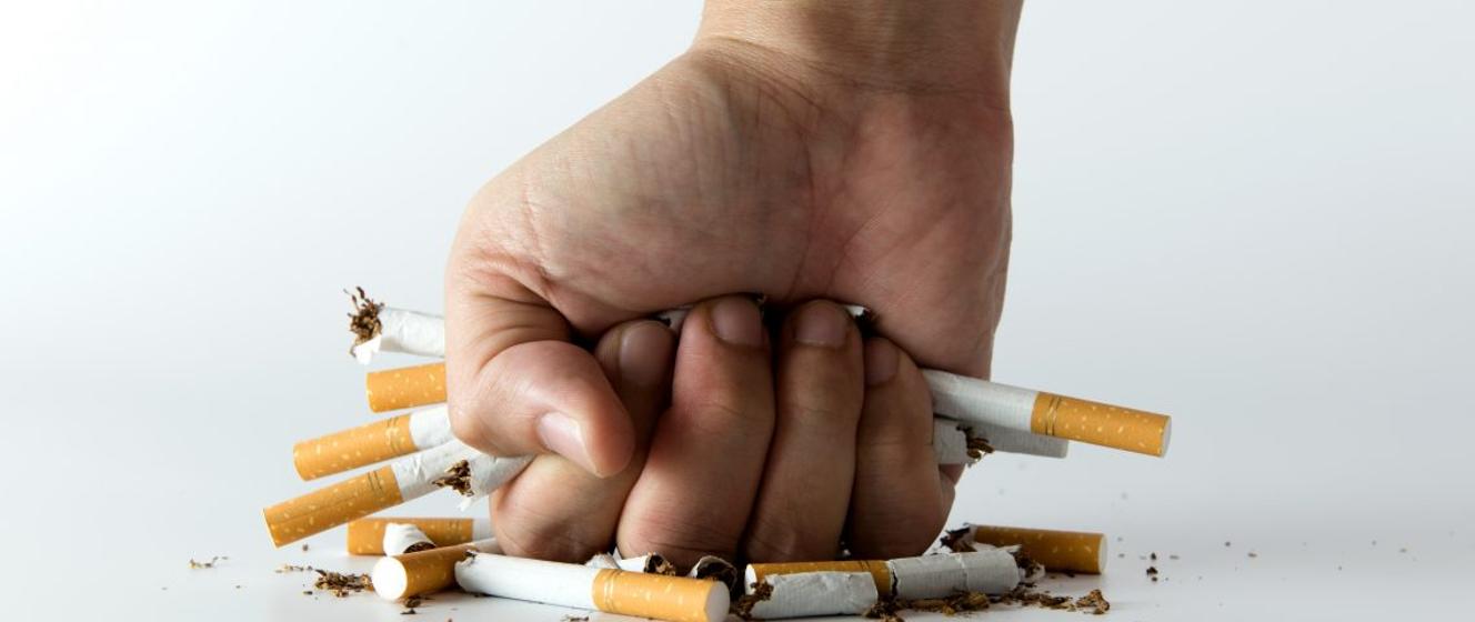 Postawy Polaków wobec palenia tytoniu – Raport 2019 r. - Główny Inspektorat Sanitarny - Portal Gov.pl