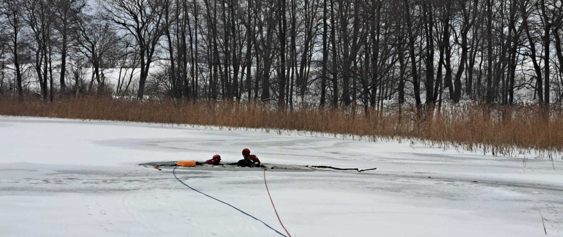 Zdjęcie przedstawia dwóch ratowników z Komendy Powiatowego Państwowej Straży Pożarnej w Gołdapi (odpowiednio zabezpieczonych), którzy dotarli do osoby poszkodowanej, pod którą załamał się lód