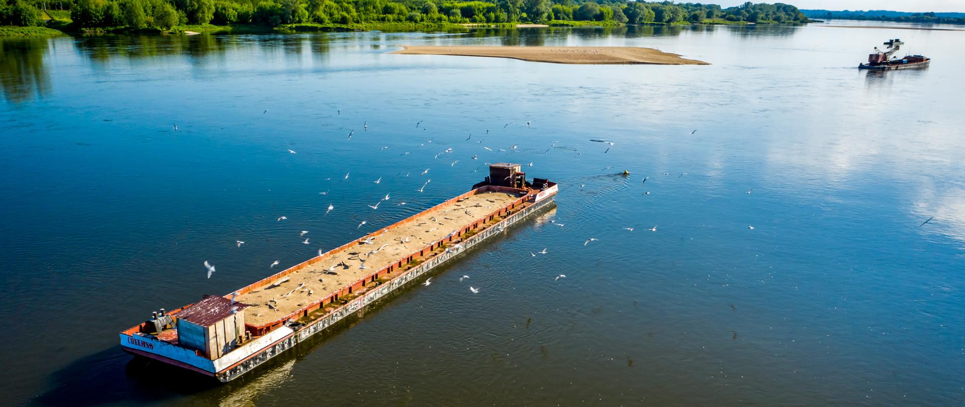 Barki lęgowe na Wiśle, słoneczny dzień, w tle zielony brzeg Wisły