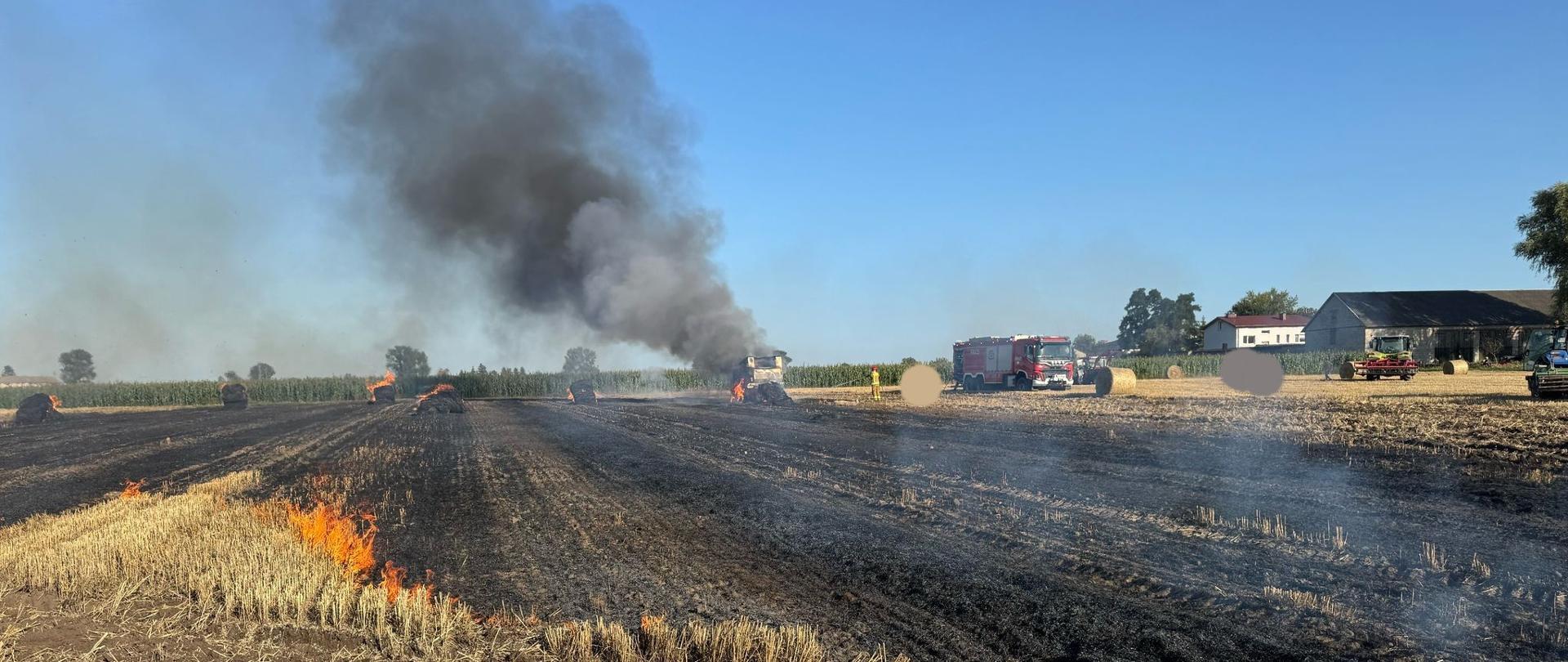Na zdjęciu widać pożar na polu uprawnym. W pierwszym planie palą się resztki ścierniska, a ogień przesuwa się w kierunku dalszej części pola. W tle unosi się gęsty, czarny dym, a w różnych miejscach widać płonące bele słomy. Po prawej stronie znajduje się kilka pojazdów, w tym wóz strażacki oraz maszyny rolnicze. Po prawej stronie widoczna jest także zabudowa gospodarcza – budynki gospodarcze i dom. Cała scena odbywa się w słoneczny, bezchmurny dzień.