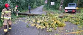 Drzewo leży na jezdni. Strażak pilarką przecina konar drzewa. 
