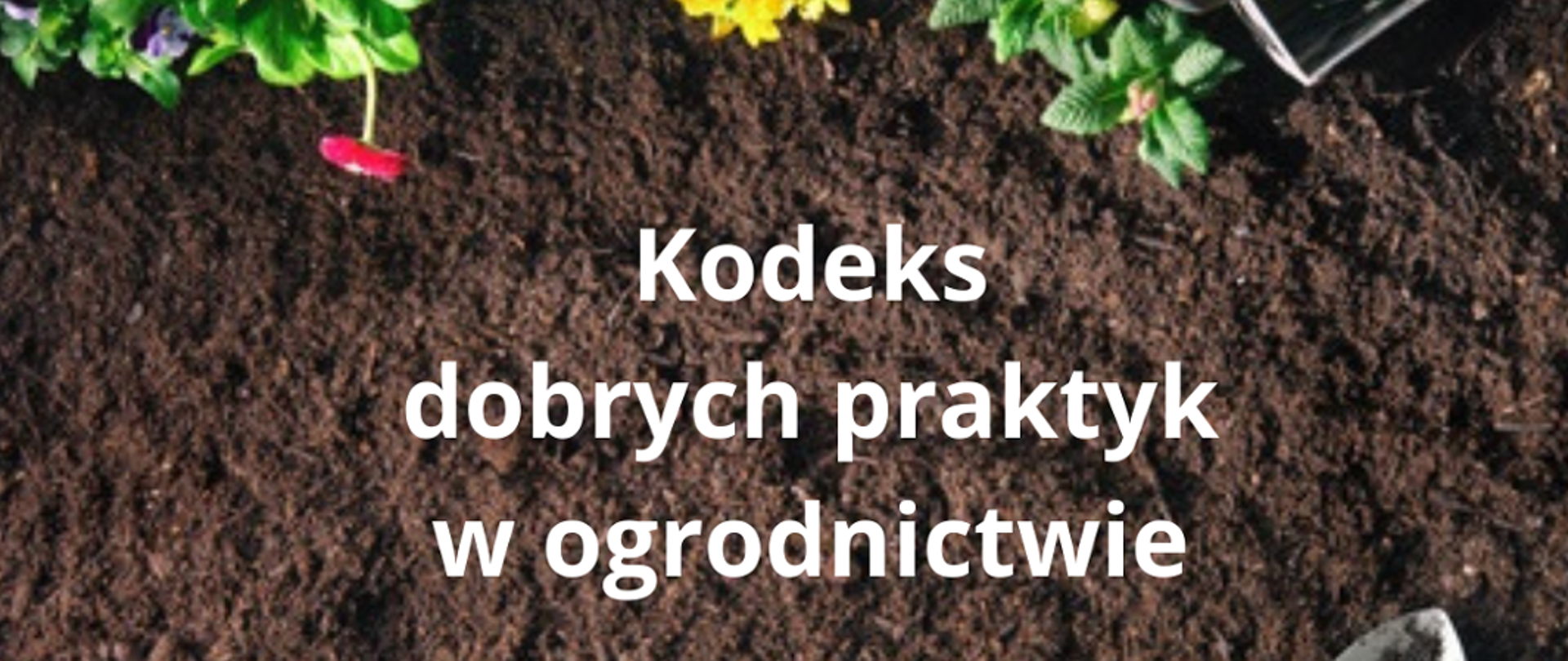 Na tle ziemi widoczny napis Kodeks dobrych praktyk w ogrodnictwie. Na górze widoczne kwiaty. 