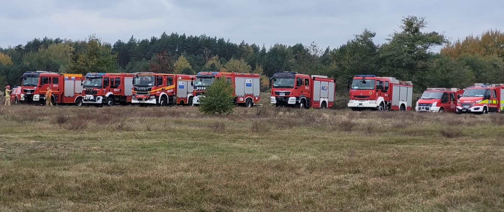 Na polanie stoi osiem czerwonych samochodów strażackich. Przy pierwszym z lewej stoi dwóch strażaków w piaskowych ubraniach specjalnych. Za nimi widoczne ciemnozielone, lekko pożółkłe drzewa, a pond nimi pochmurne niebo. 