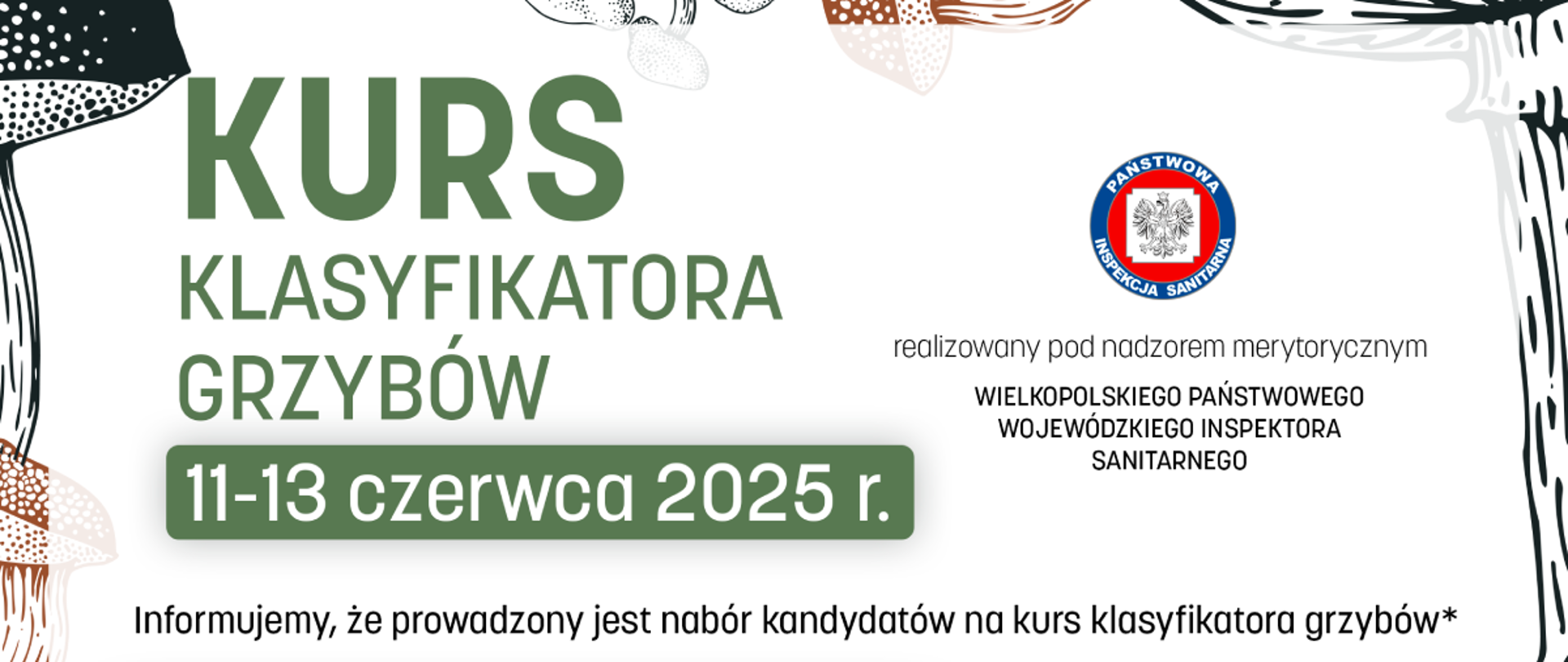 Kurs Klasyfikatora Grzybów - Plakat Informacyjny