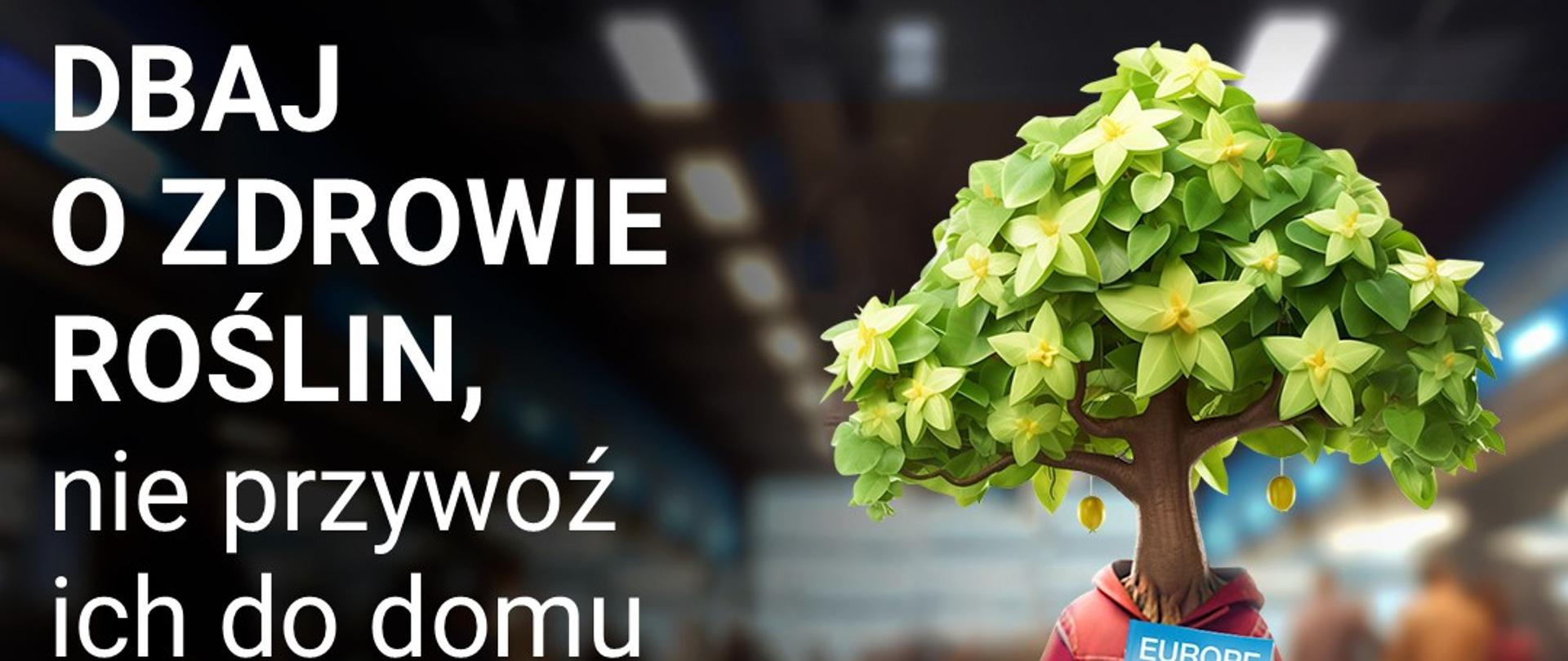 Dbaj o zdrowie roślin