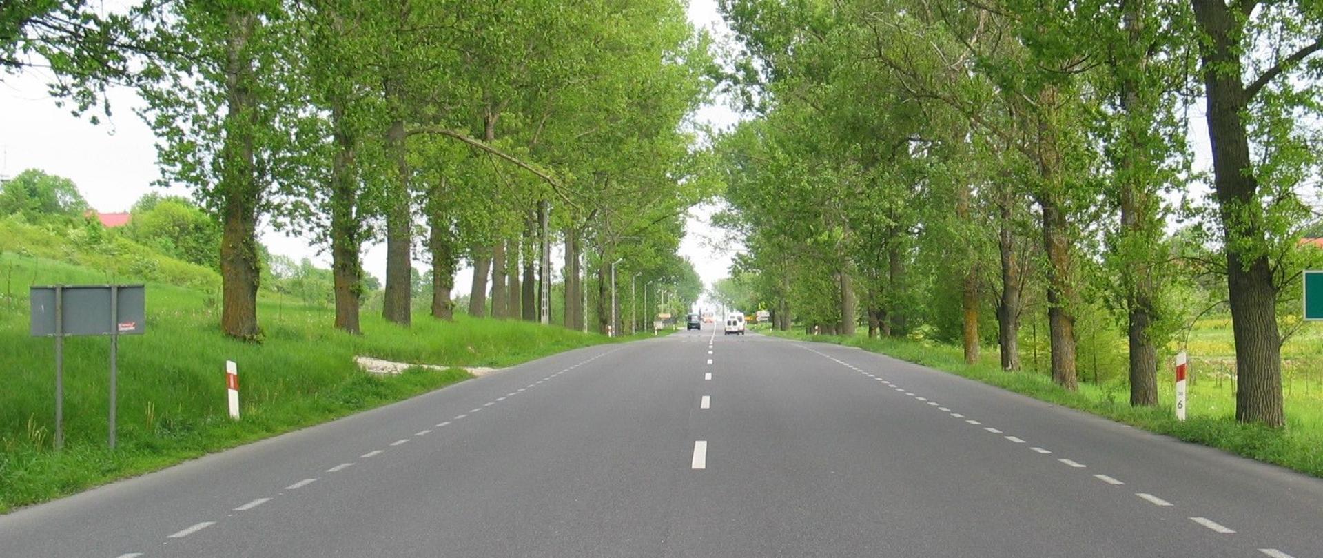 Droga jednojezdniowa asfaltowa, dwa pasy ruchu, w oddali samochody, po bokach szpalery drzew i zielona trawa 