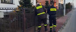 Zdjęcie przedstawia dostarczanie ulotek informacyjnych na temat profilaktyki oraz szczepień przeciwko Covid-19 przez strażaków OSP Krzepice 1