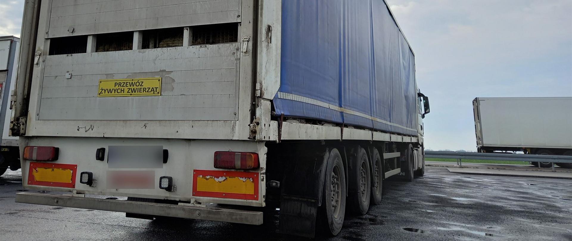 Wielkopolscy inspektorzy z Leszna zatrzymali dynamicznie do kontroli zespół pojazdów, który z ładunkiem drobiu ważył 41,85 t