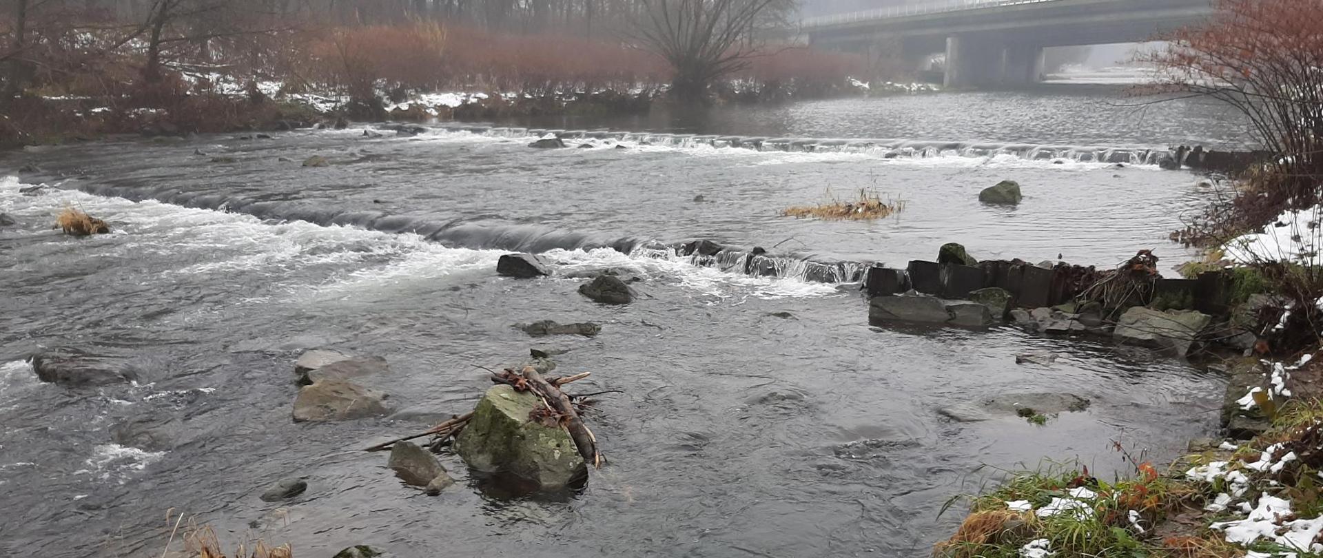 Prace odtworzeniowe zrealizowane w ramach działań na rzece Wiśle 