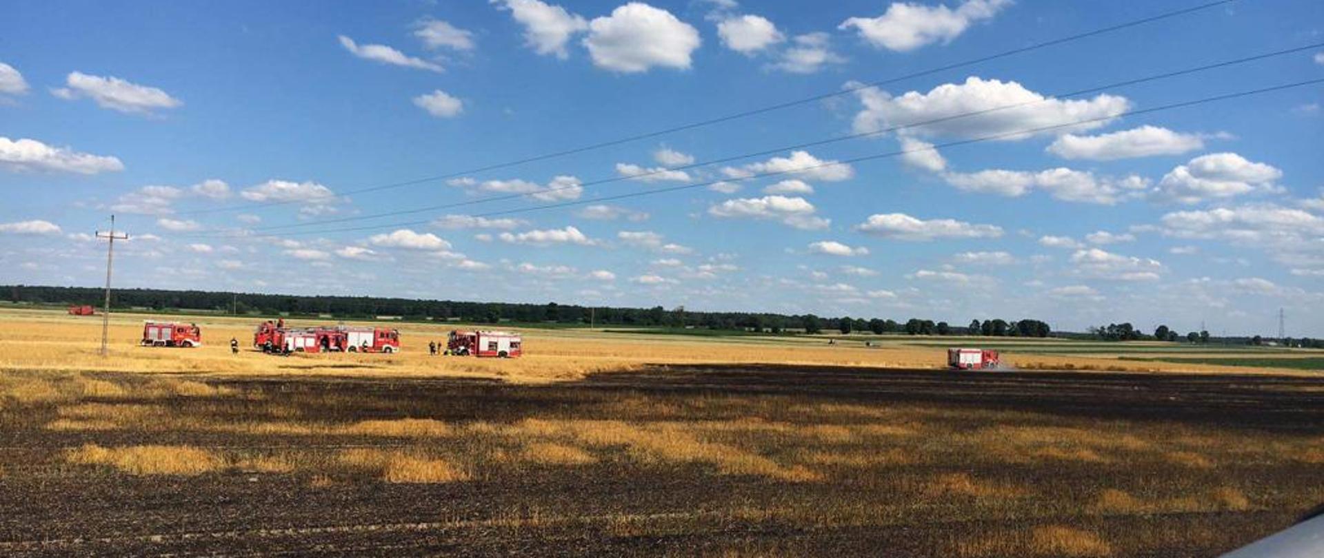 Na horyzoncie widoczne pojazdy strażackie. Przed nimi pogorzelisko po spalonym zbożu. Nad nimi widoczne niebo z białymi chmurami.