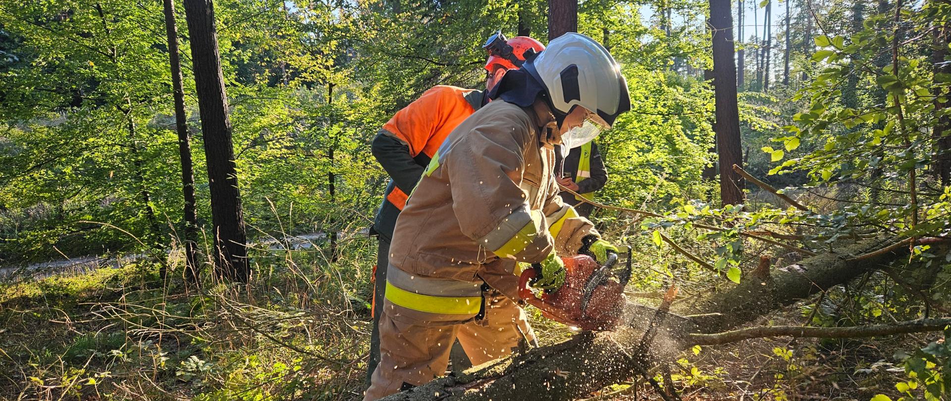 Uczestnik szkolenia tnie pilarką drewno.