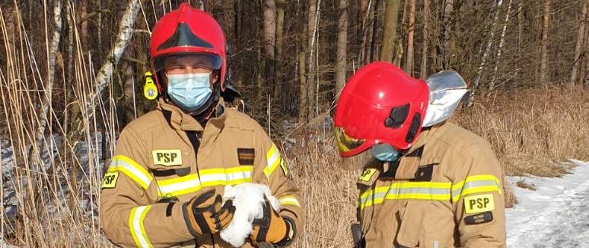 Dwóch strażaków w umundurowaniu bojowym stoi na zaśnieżonej, gruntowej drodze biegnącej obok lasu. Jeden ze strażaków trzyma na rękach białego ptaka. 