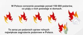 W Polsce corocznie powstaje ponad 150 000 pożarów, co piąty z nich powstaje w domach.