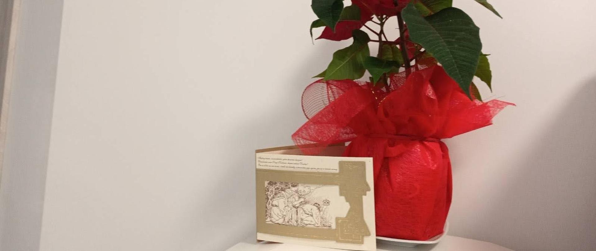 Kartka z życzeniami stoi obok kwiatu.