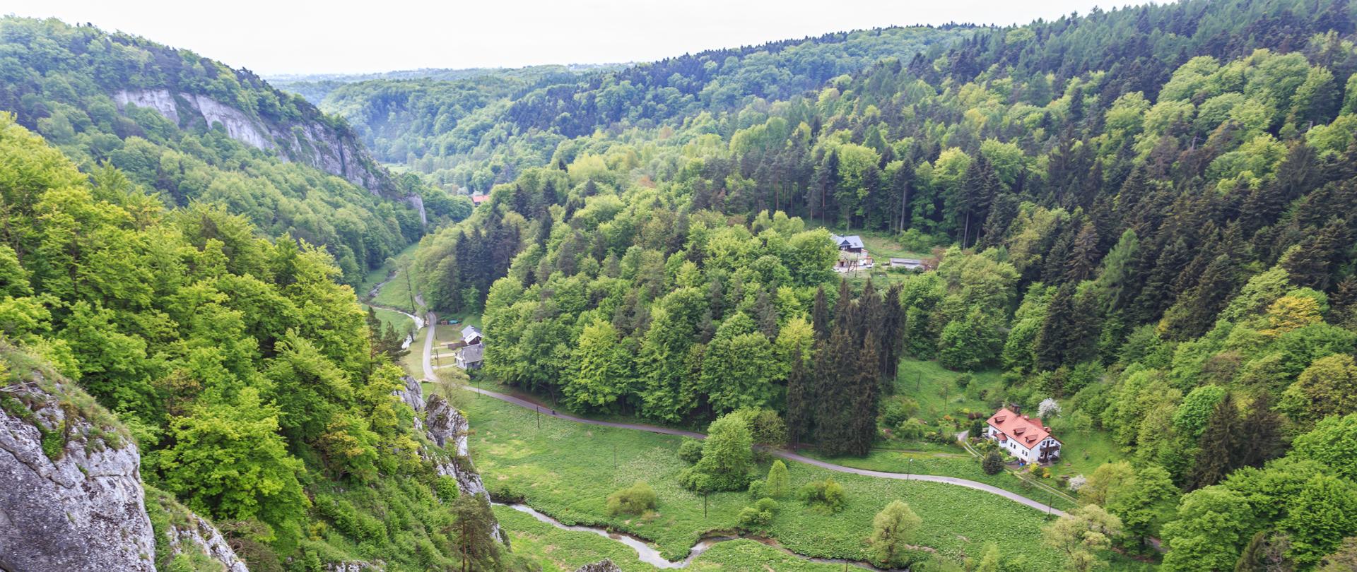 Dolina Prądnika, Ojcowski Park Narodowy, skały w okolicy Ojcowa