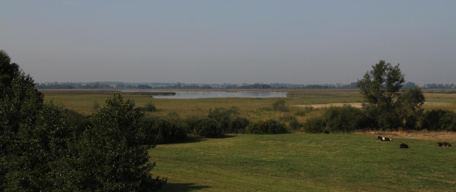 Obszar Błota Kłócieńskie, z tyłu zieleń i niebieskie niebo