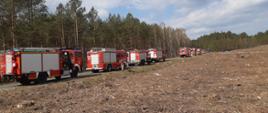 Ćwiczenia na terenie Nadleśnictwa Czarnobór, siedem samochodów ratowniczo-gaśnicze, koloru czerwonego stoi na drodze asfaltowej, dowożą wodę do pożaru