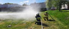Na zdjęciu widać dwóch klęczących na trawie strażaków, ubranych w ubranie specjalne oraz hełmy. Każdy z nich trzyma wąż pożarniczy i podaje zwarty oraz rozproszony strumień wody przed siebie. W tle znajdują się jasnego koloru zabudowania oraz kilka drzew.