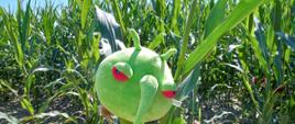 Zielona pluszowa zabawka w kształcie szkodnika roślin z czerwonymi oczami, w środku wysokiego, zielonego pola kukurydzy.