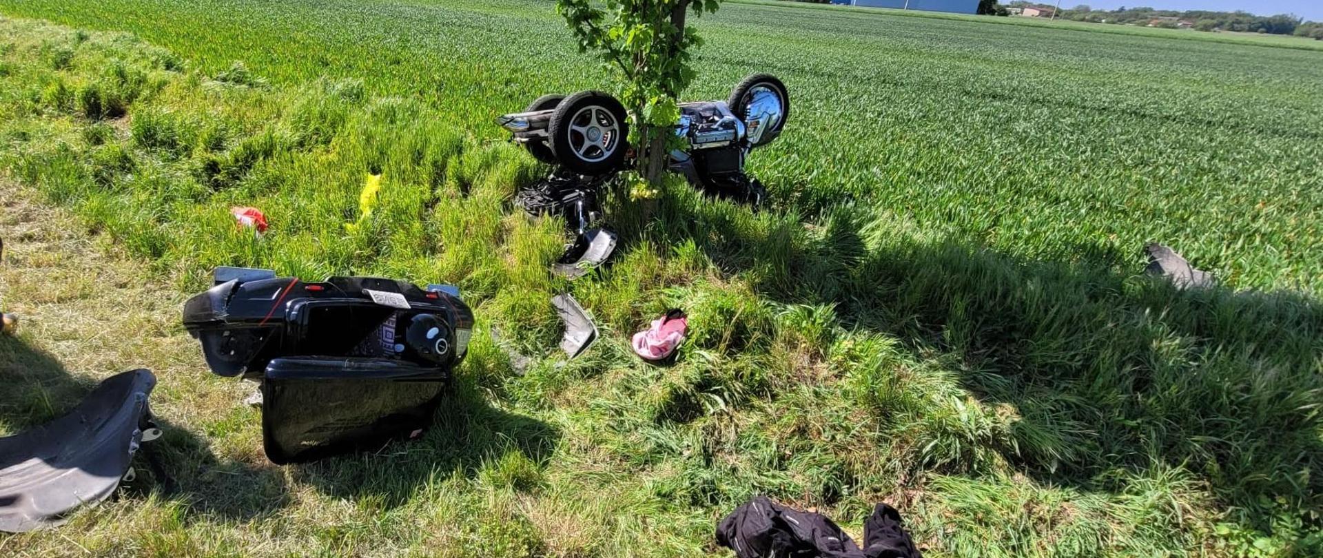 Motocykl w rowie przy drzewie 