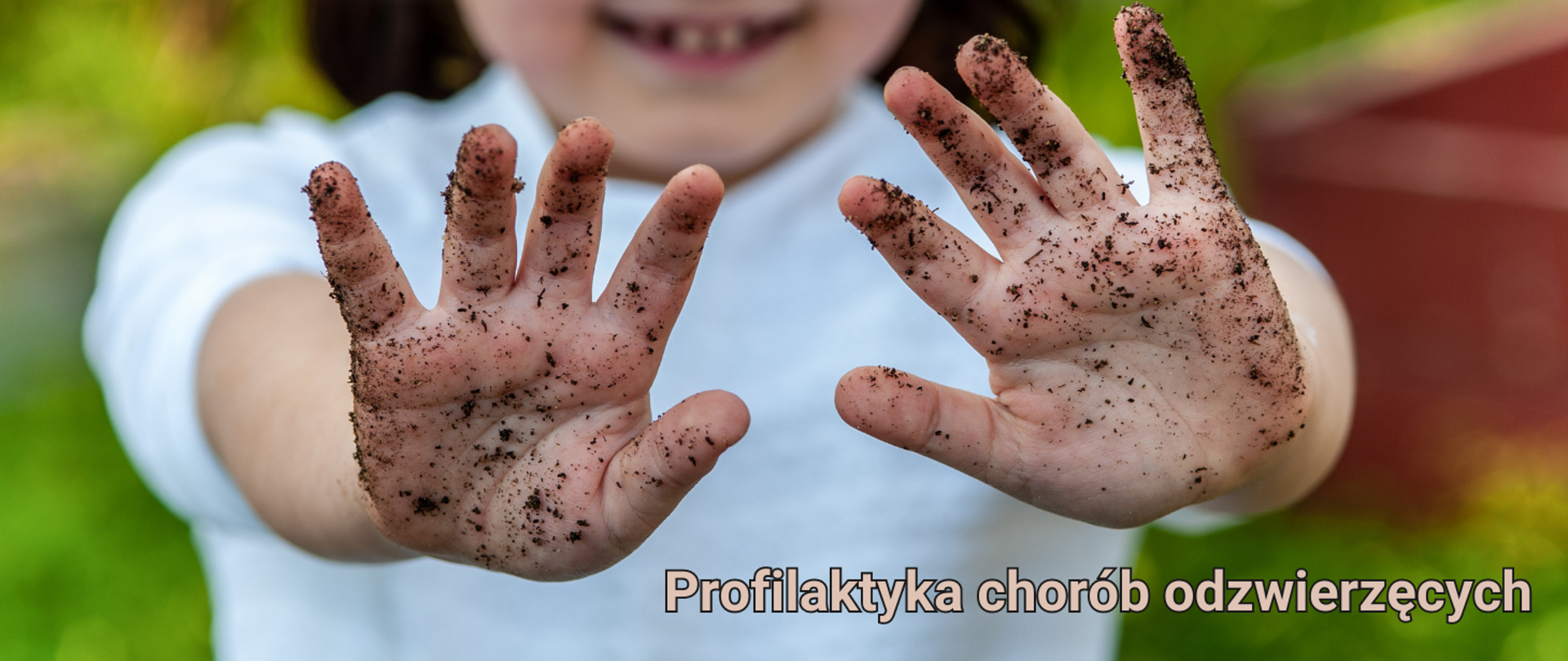 profilaktyka chorób odzwierzęcych