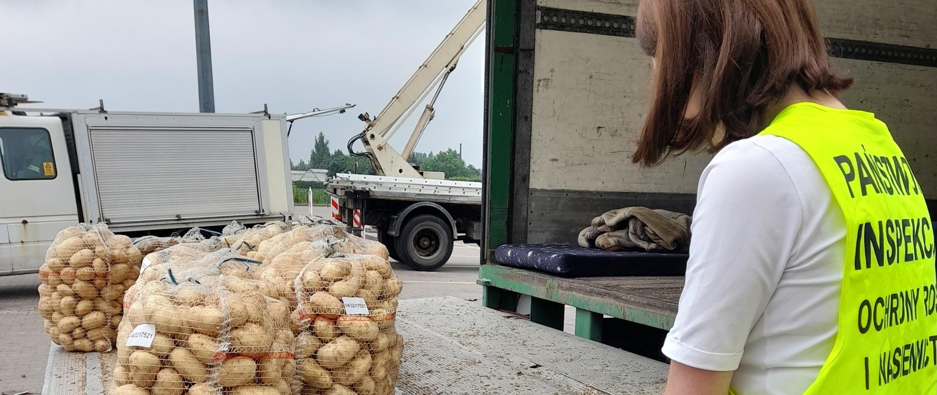  Kontrola ziemniaków