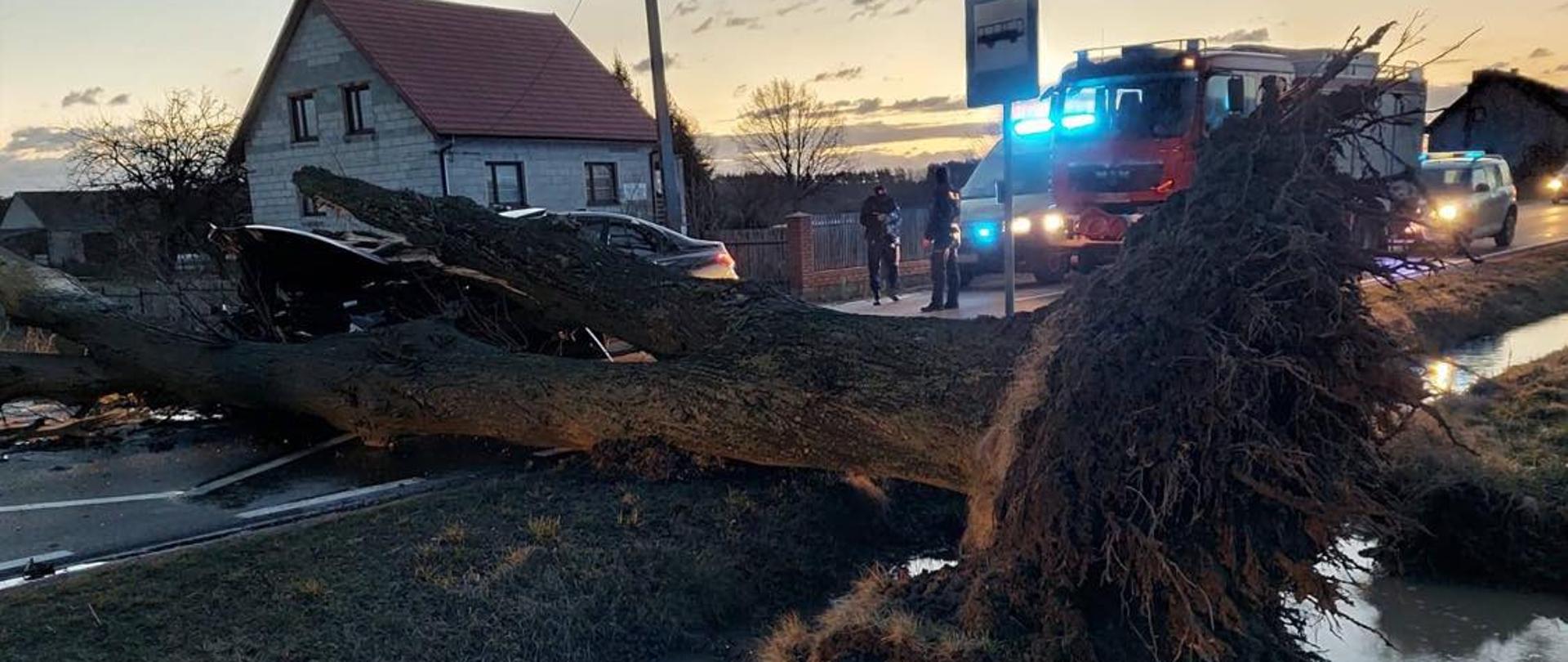 Samochód osobowy uderzył w drzewo złamane przez silny wiatr.