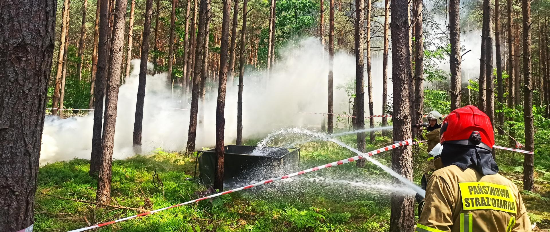 Ćwiczenia TURKA 2022