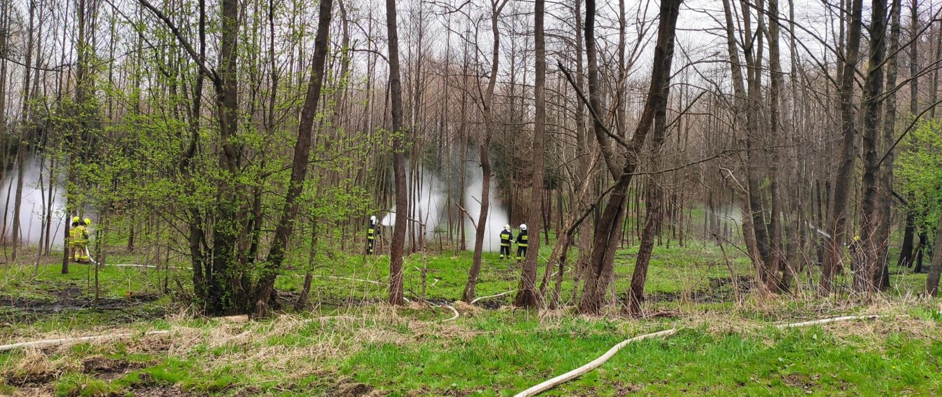 Na zdjęciach strażacy z gminy Kołaczyce biorący udział podczas gaszenia pożaru lasu w miejscowości Bieździedza.