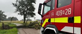 Czerwony wóz strażacki zaparkowany na poboczu gruntowej drogi w deszczowy dzień. Po lewej stronie, w tle, widać duże, wyrwane z korzeniami drzewo, które całkowicie blokuje przejazd. Przy przewróconym konarze stoi kilku strażaków w strojach bojowych i kaskach ochronnych, oceniających sytuację. W tle rozciągają się pola pod zachmurzonym niebem.