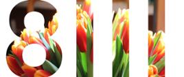 8 III - data - tekst wypełniony zdjęciem tulipanów