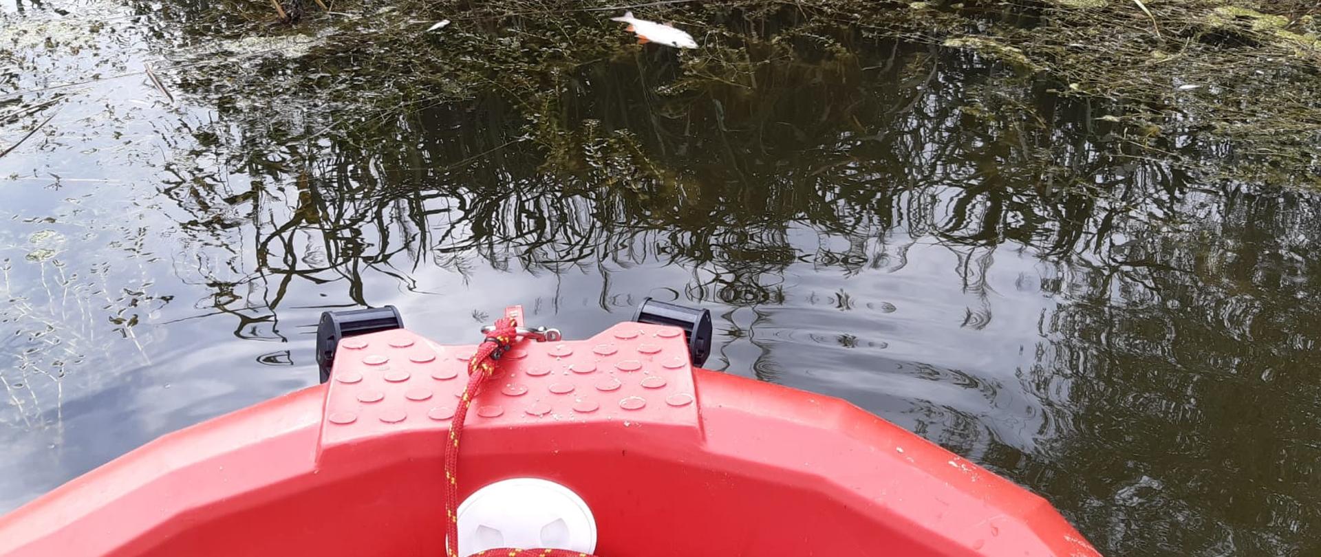 Monitorowanie rzeki ODRY