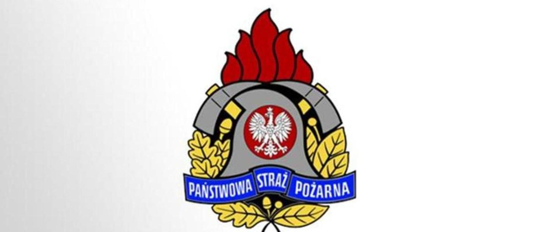 logo2 PSP