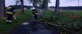 Zdjęcie przedstawia drogę, na której leży połamane drzewo. Dwóch strażaków prowadzi akcję usunięcia drzewa. Jeden z nich operuje pilarką spalinową. Strażacy mają białe hełmy. Po obu stronach drogi rosną drzewa, W tle widać zabudowania.