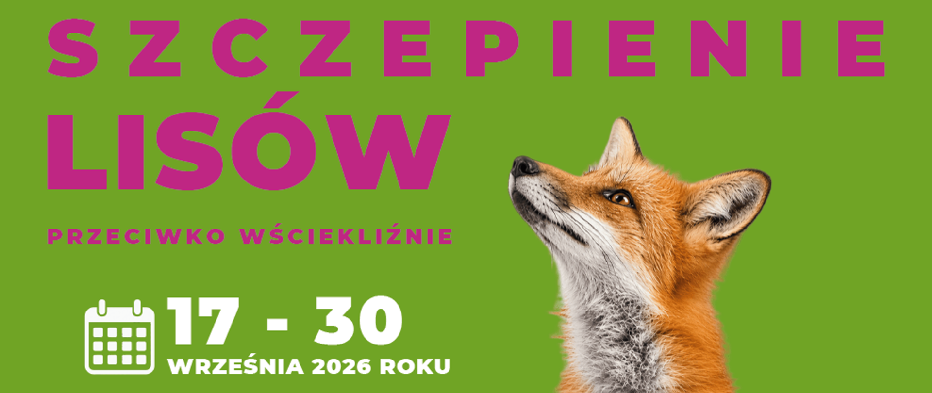 szczepienie_lisów_2026
