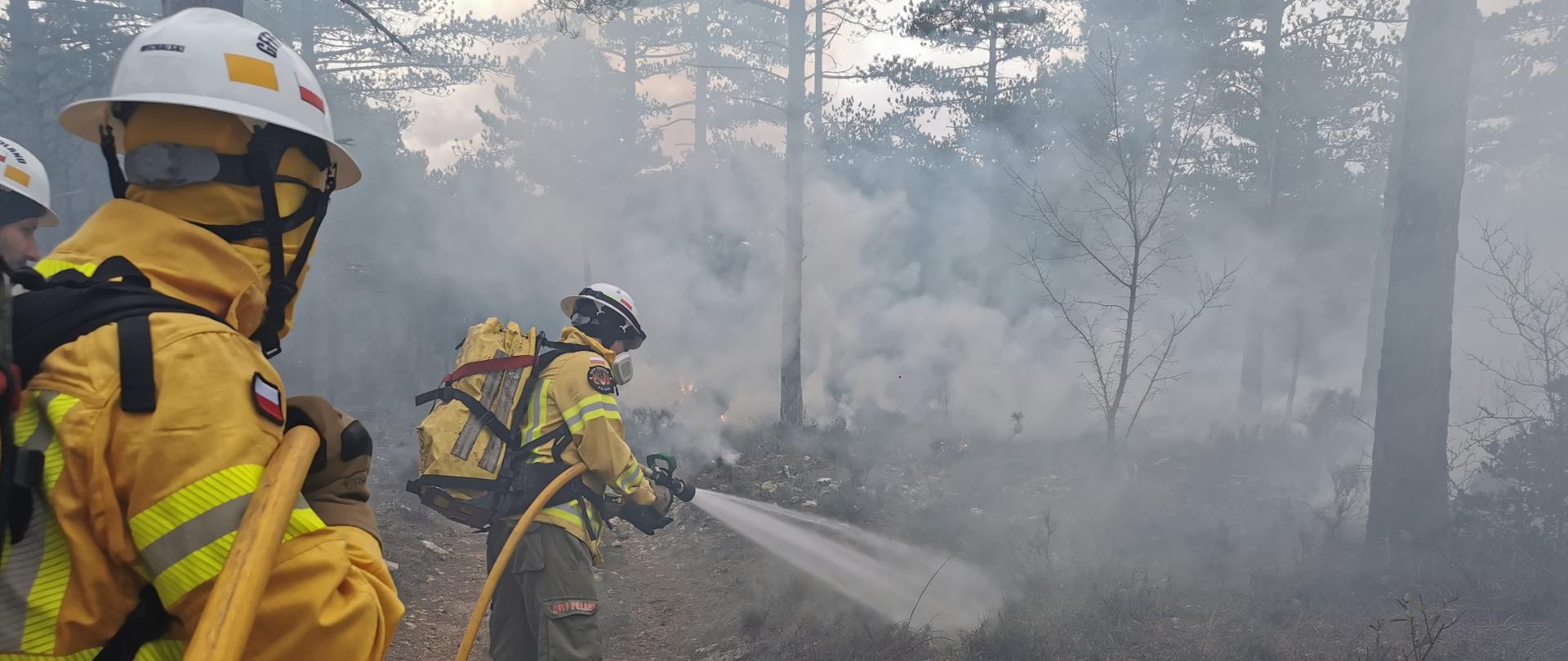 Strażacy w ubraniach specjalnych gaszą pożar ściółki leśnej; jeden podaje prąd wody, wokół widoczny dym i drzewa.