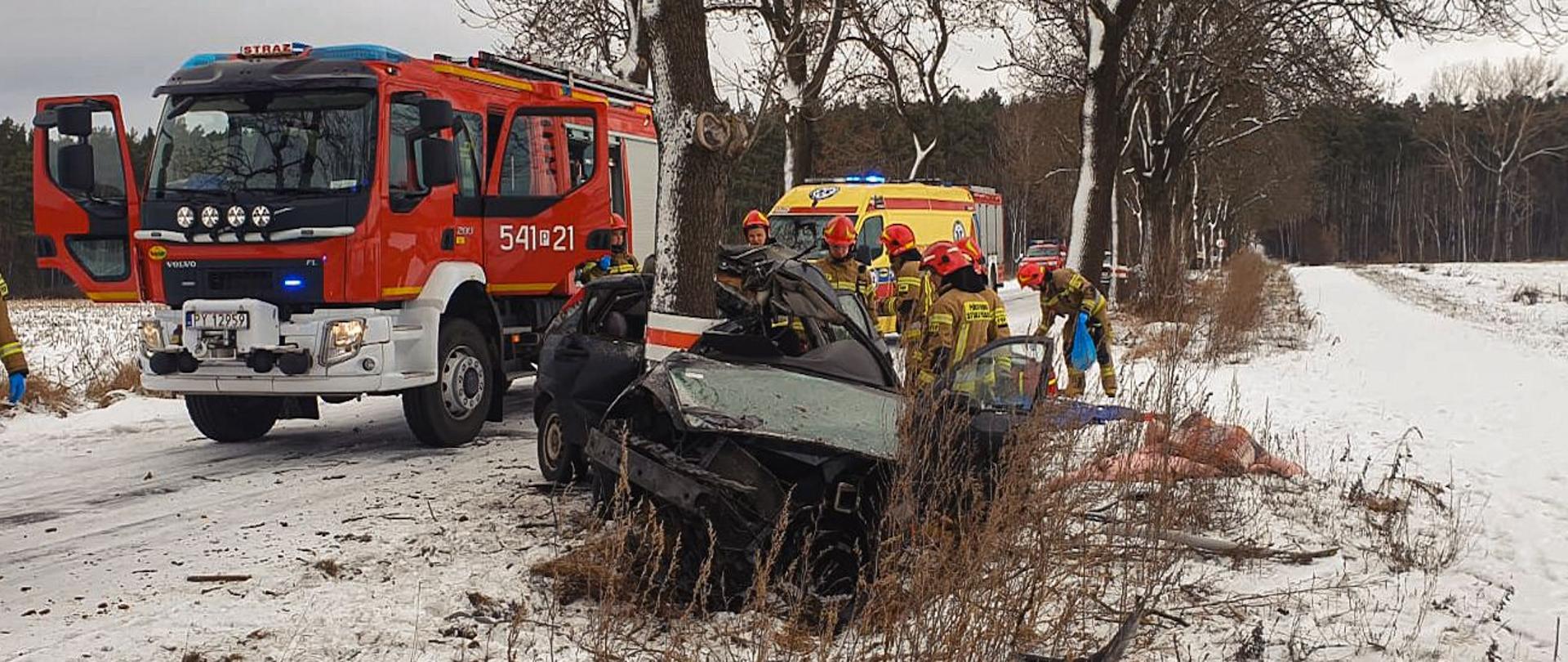 Samochód osobowy po uderzeniu w drzewo. W okolicy znajdują się pojazdy służb ratowniczych oraz strażacy. 